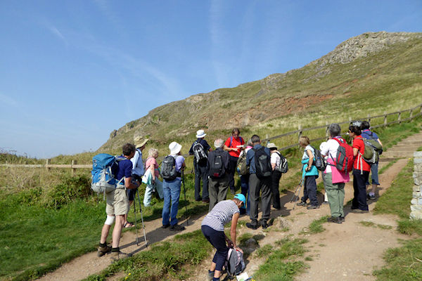 Brean Down NT Ranger Ian and WSNTA walkers about to climb up the steps - Tim Edmonds