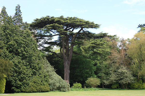 May 13 Malmesbury, Chavenage House - Ivor Jones