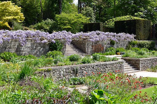 Castle Drogo gardens granite steps to terrace and  wisteria cascade - Tim Edmonds