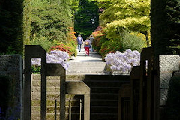 Castle Drogo view up steps and terraces from garden gate - Tim Edmonds