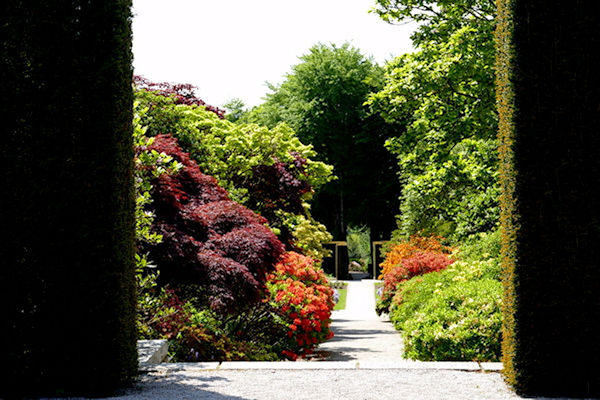 Castle Drogo vista through gardens from entrance to  circular lawn - Tim Edmonds