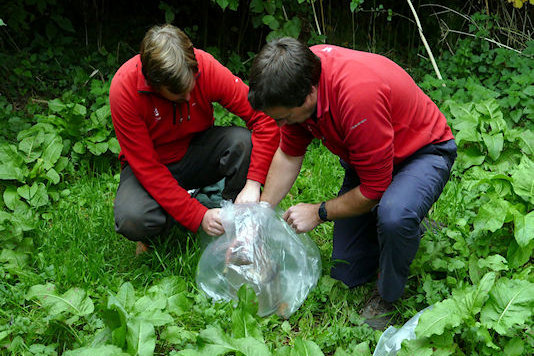 Getting the dormouse out of the nestbox - Tim Edmonds