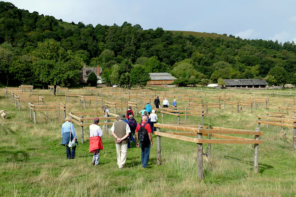 WSNTA group in  new orchard - Tim Edmonds