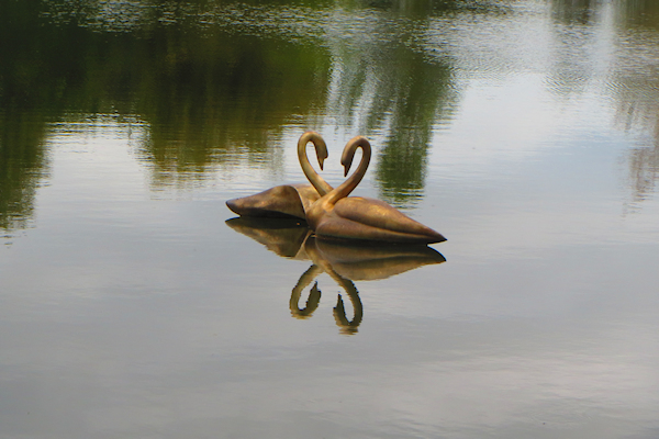 Veronica Cole: Swan Lake (Sculpture on the Lake)