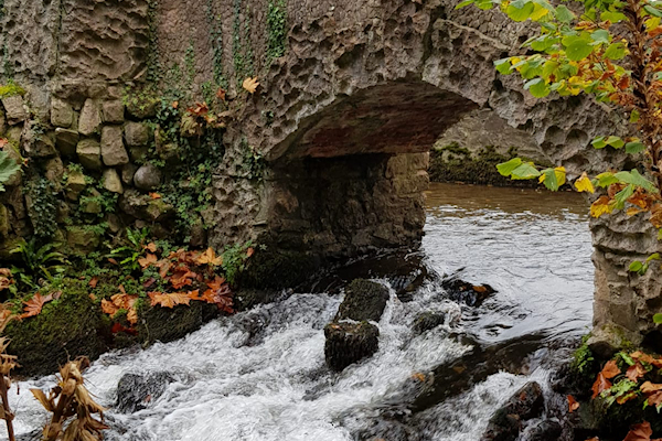 Jenny Orpin: Bridge Over Troubled Waters, Dunster Castle